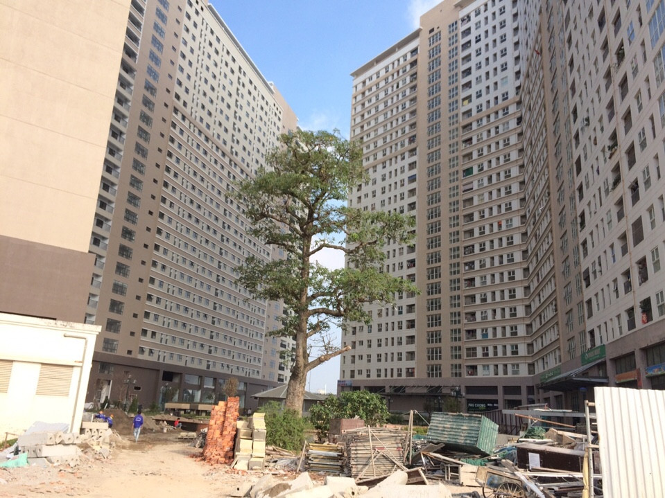 Cập nhật thông tin dự án Xuân Mai Sparks trước khi bàn giao vào ngày 15/11/2016