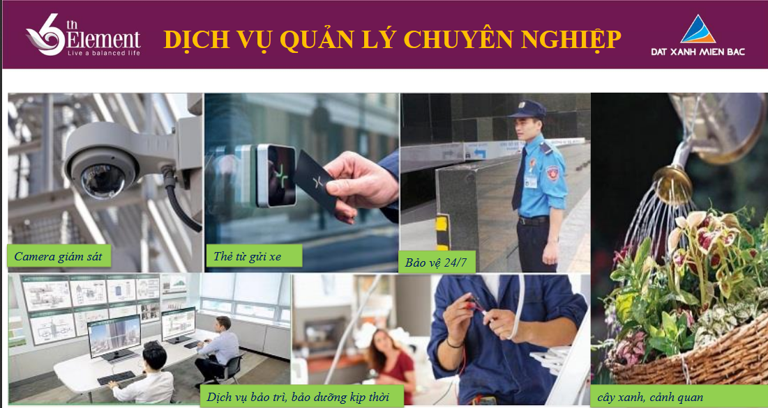 Dịch vụ quản lý chuyên nghiệp tại khu tổ hợp  6th Element